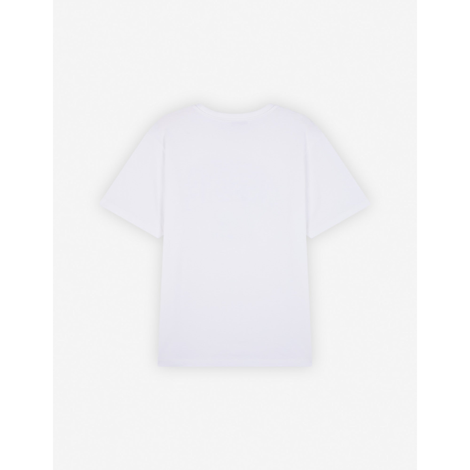 Men Campus Fox Relaxed Tee Shirt - White