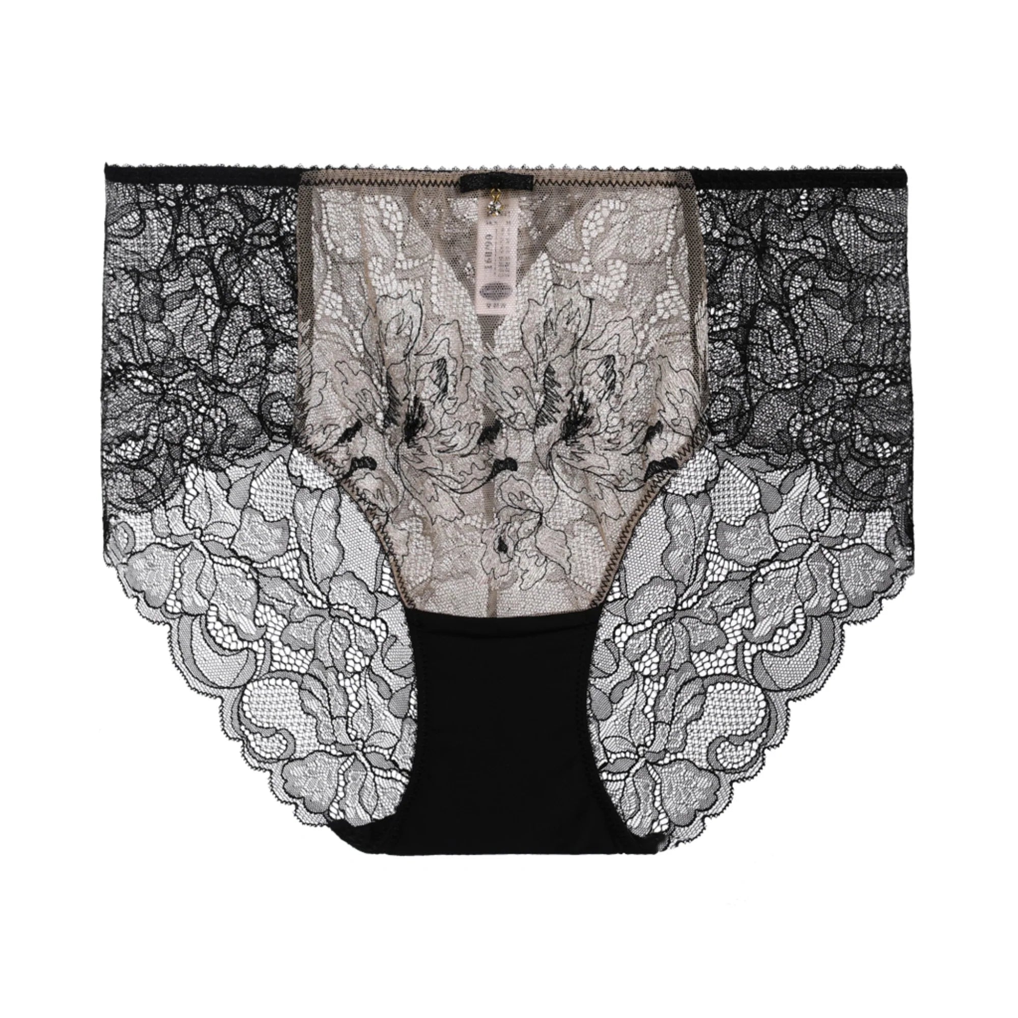 Brief With Leavers Lace & Embroidery - Skin